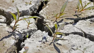 Pipe Damage Warning Signs You Shouldn’t Ignore This Summer